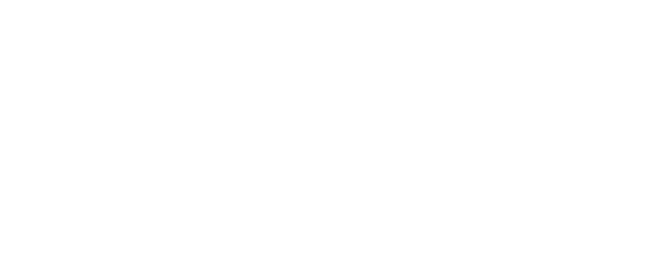 Logo de Paulin
