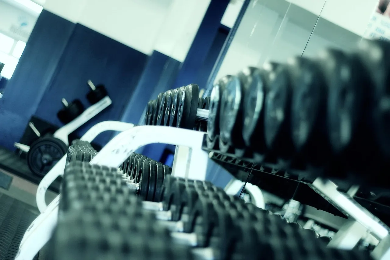 Una hilera de mancuernas ordenadas en su soporte dentro de un gimnasio con paredes azules y luz natural